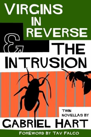 Virgins in Reverse & the Intrusion